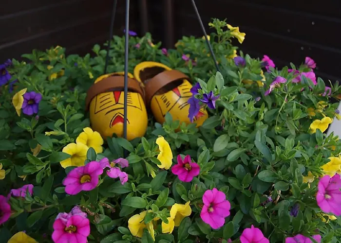 לינה וארוחת בוקר Hulleste