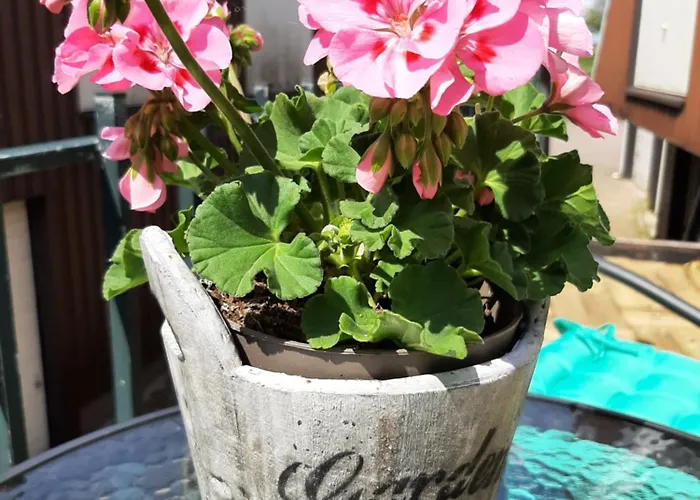 Hulleste Oda ve Kahvaltı 3*